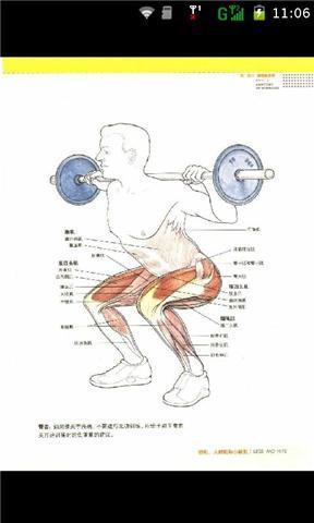 型男健身肌肉训练图谱