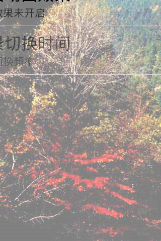 浪漫深秋枫叶林动态壁纸