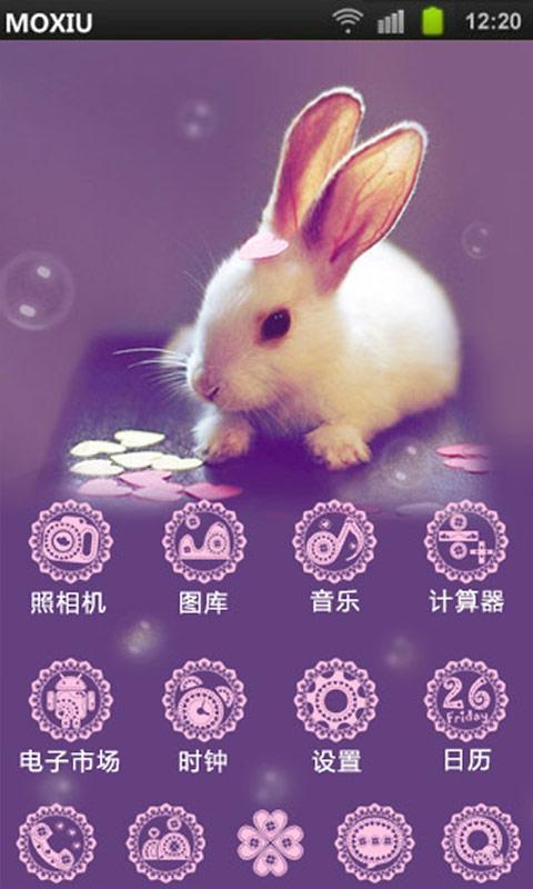 魔秀桌面主题：可爱兔子