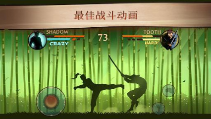 暗影格斗 2:Shadow Fight 2