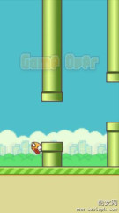 勃起的小鸟:Flappy Bird