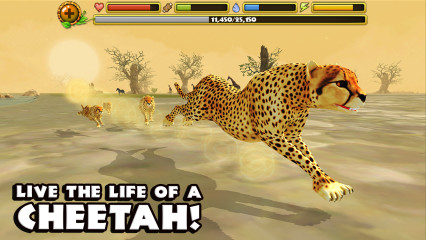 猎豹模拟器:Cheetah Sim