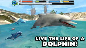 海豚模拟