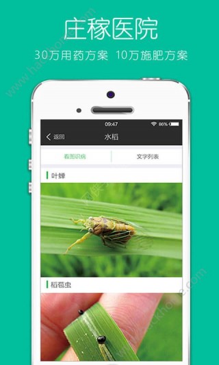 农管家瓢虫app