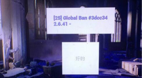 绝地求生25global ban是什么意思_错误25处理方法