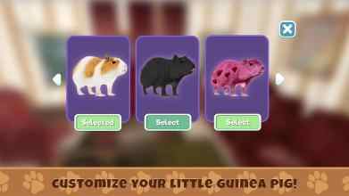 几内亚猪模拟器：宠物生存无限金币