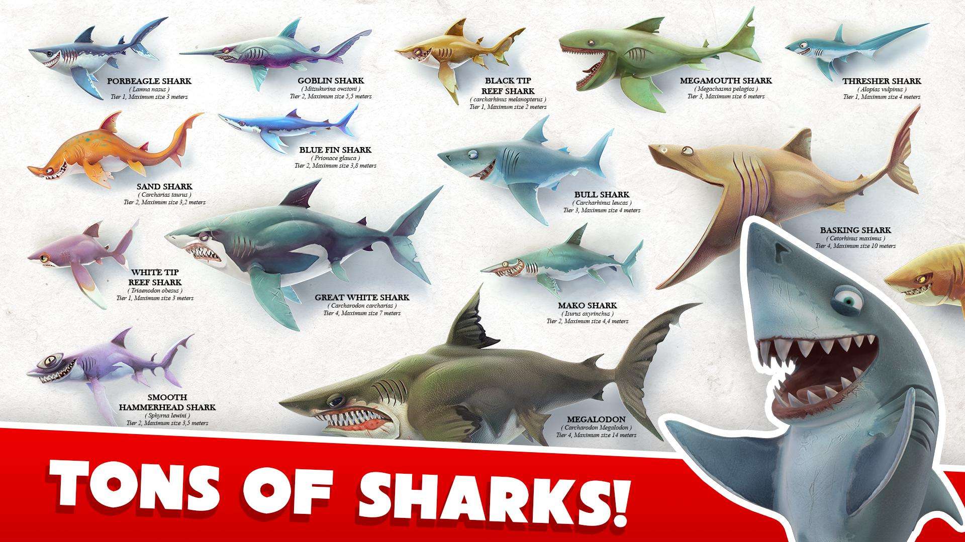饥饿鲨：世界鲨鱼图鉴一览