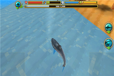 饥饿的鲨鱼攻击模拟