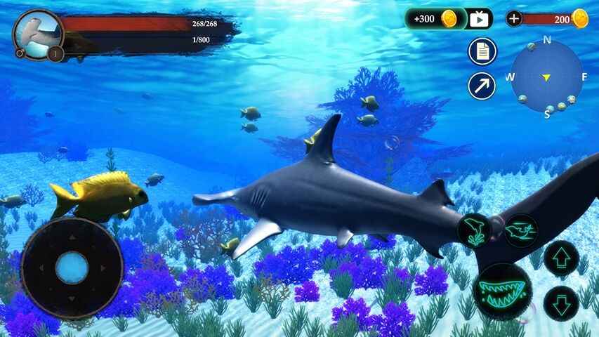 锤头鲨模拟器