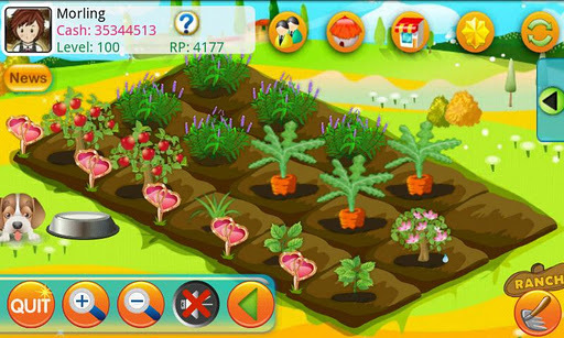 木瓜农场(Papaya Farm HD)